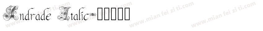 Andrade Italic字体转换
